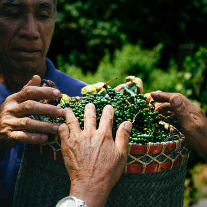 Savage White (Pocket Edition)