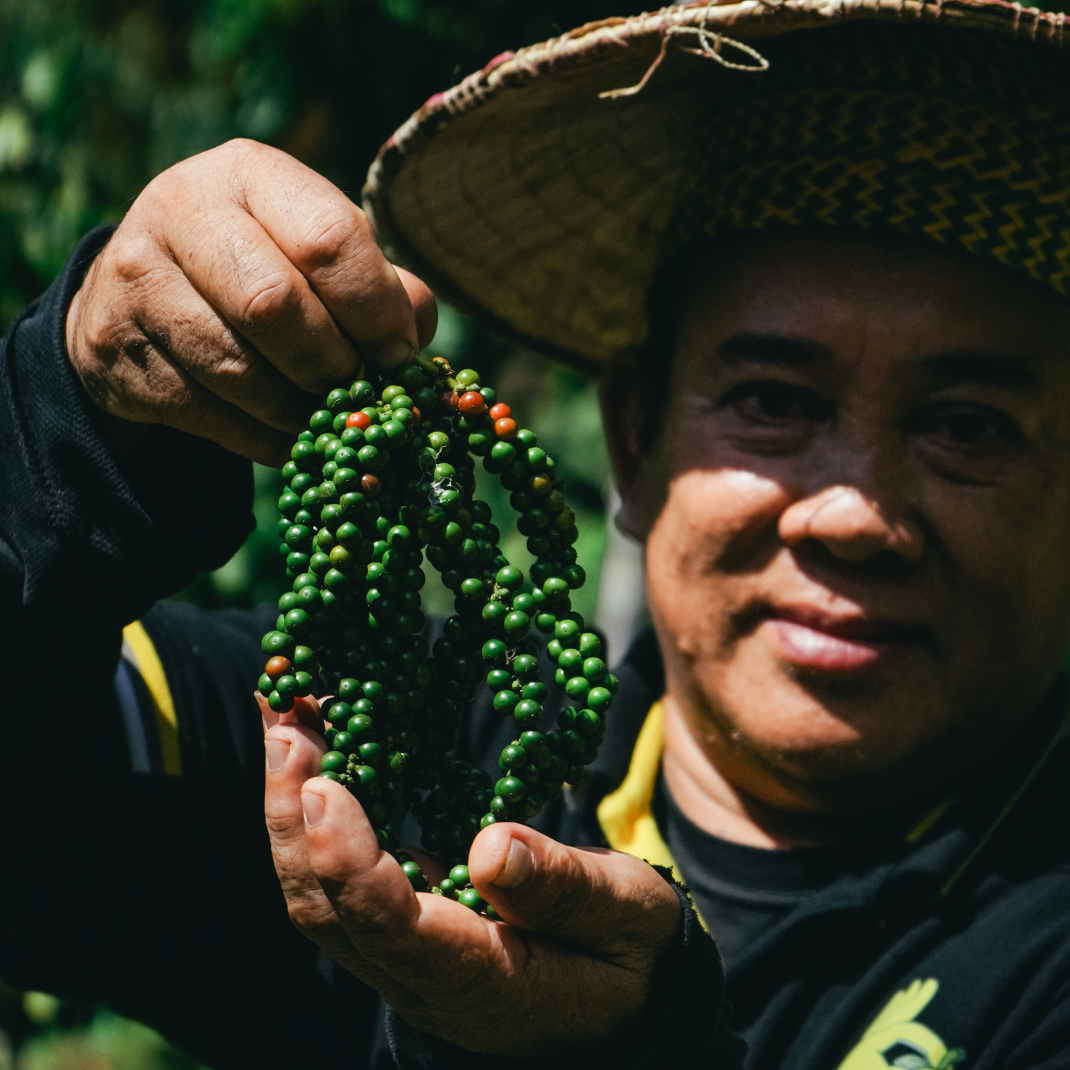 Savage White (Pocket Edition)